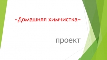 Презентация проекта по химии на тему Домашняя химчистка