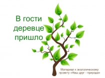Презентация В гости деревце пришло... (подготовительная группа)