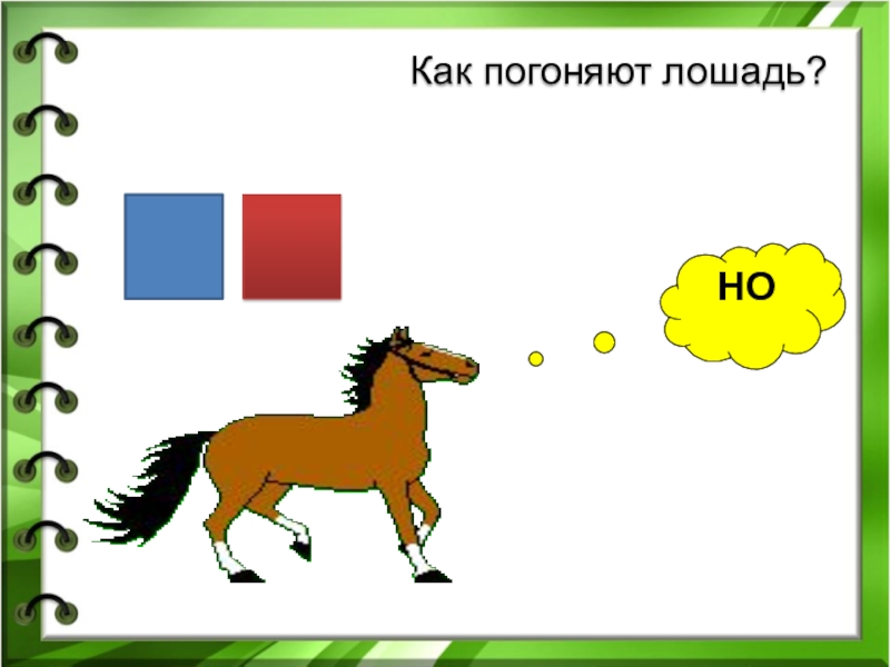 Разбор слова лошадка. Конь звуковая схема. Лошадь звуковая схема. Как погоняют лошадь. Слово лошадь.