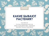 Презентация по окружающему миру Какие бывают растения