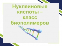 Презентация по биологии Нуклеиновые кислоты - класс биополимеров 10 класс.