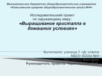 Презентация по окружающему миру Кристалл2 ккласс