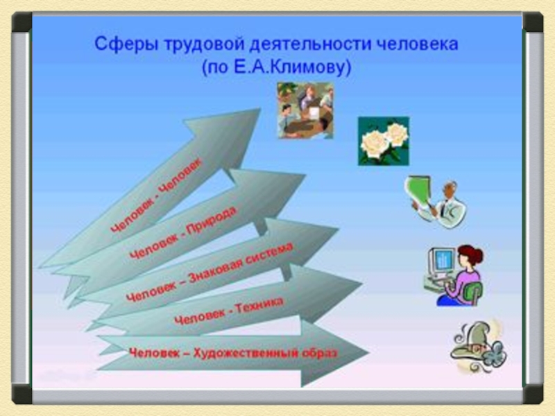 Выбрать сферу профессиональной деятельности. Сферфыдеятельнсоти человека. Сфера человек человек. Сферы деятельности человека. Сферы деятельности человека человек человек.