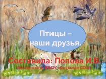 Презентация к мероприятию Птицы -наши друзья