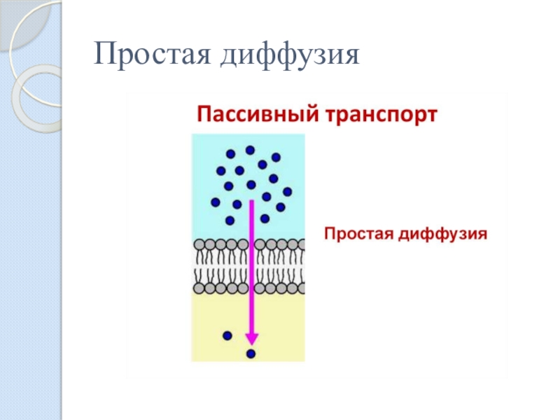 Простая диффузия. Схема простой и облегченной диффузии. Схема простой диффузии веществ через мембрану. Простая диффузия через мембрану. Пассивная диффузия облегченная диффузия активный транспорт.