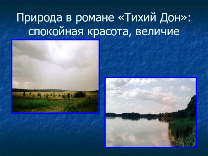 Пейзаж в романе тихий дон. Тихий Дон природа. Природа в романе тихий Дон. Тихий Дон природа Дон.