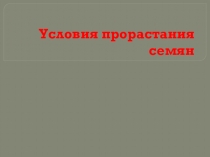 Презентация по теме: Условия прорастания семян для СПО