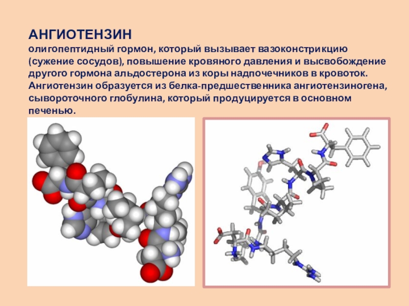 Гормоны естествознание 11 класс презентация