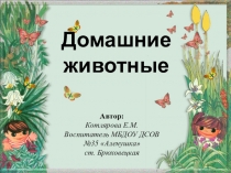 Презентация Домашние животные и их детеныши