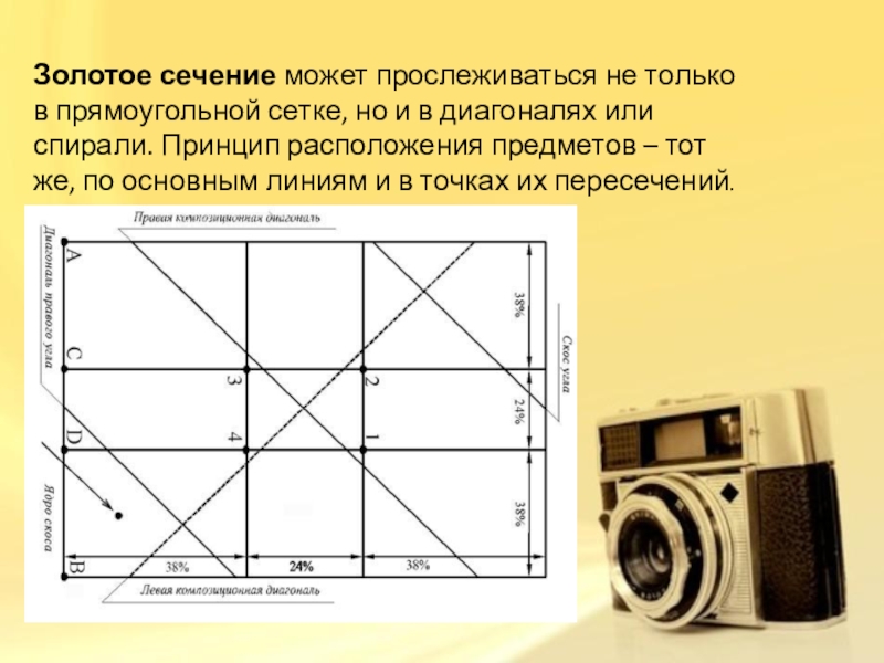 Золотое сечение проект 9 класс