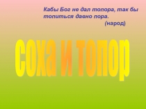 Проект Соха и топор