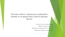Презентация. Изучение свойств минеральных удобрений и влияние их на прорастание семян на примере фасоли