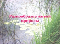 Царства живых организмов. Признаки живых организмов