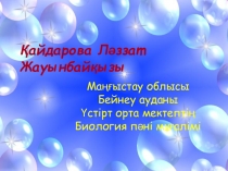Ұлулар типіне жататын жәндіктердің негізгі ерекшеліктері