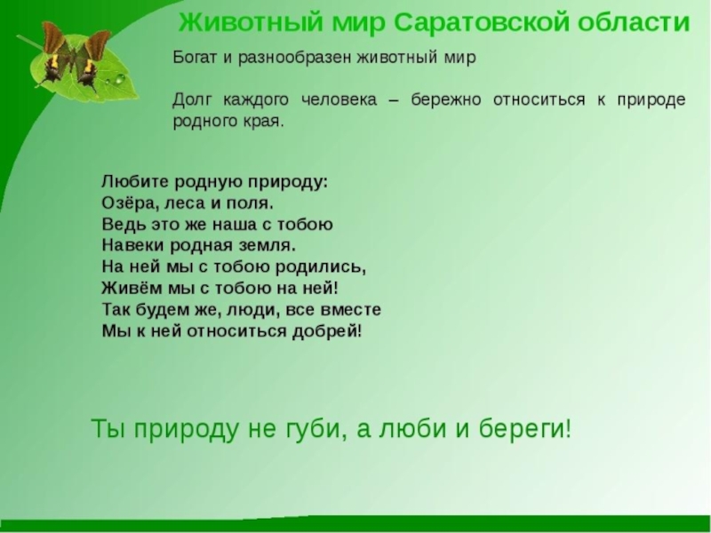 Миру саратовская область. Животный мир Саратовской области. Животные Саратовской области презентация. Растительный и животный мир Саратовской области. Дикие животные Саратовской области.