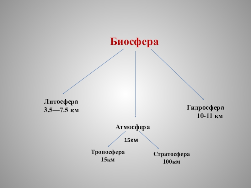 Биосфера живая оболочка земли 6 класс презентация полярная звезда