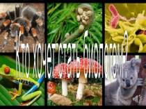 Презентация для внеурочного мероприятия по биологии для 10 - 11 классов: Кто хочет стать биологом?