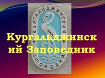 Государственный природный заповедник. Кургальджинский заповедник.