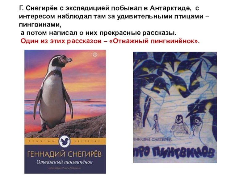 Пересказ рассказов про пингвинов старшая. Г Я Снегирев отважный Пингвиненок.