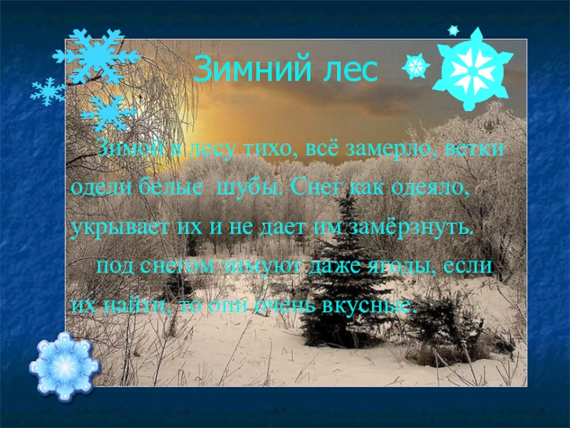 Предложение тихий лес. Лес укрылся белоснежным одеялом стих. Зимний лес пушистый снег укрыл землю белым одеялом текст. Почему в лесу зимой тихо. Пришла зима и укрыла лес пушистым снегом ВПР 4 класс.