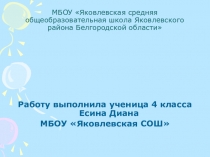 Презентация к исследовательской работе Робинзон и его последователи