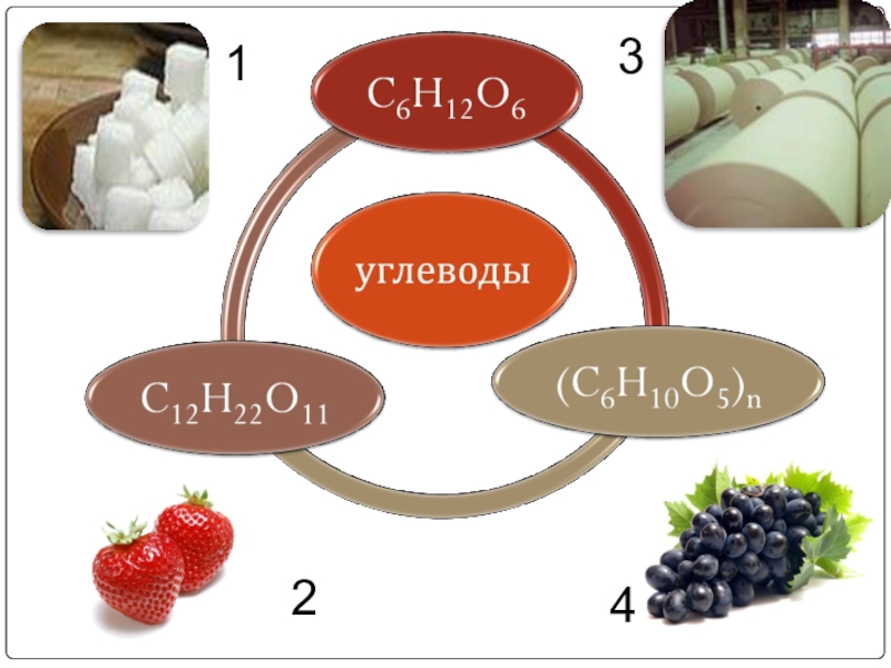 Химическое вещество углеводом. Углеводы химия. Углеводы презентация по химии. Углерод химия. Презентация по углеводам.