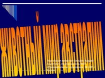 Презентация по биологии  Животный мир Австралии