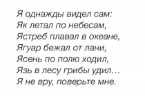 Презентация к уроку литературного чтения на тему Как я ловил человечков Б.Житкова (4 класс)