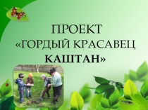 Проект Гордый красавец каштан