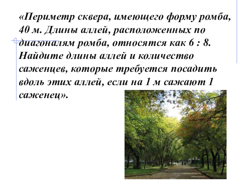 Длина аллеи 70 м два мальчика пошли. Периметр сквера. Аллея длина. Аллеи это в биологии. География расположена аллея.