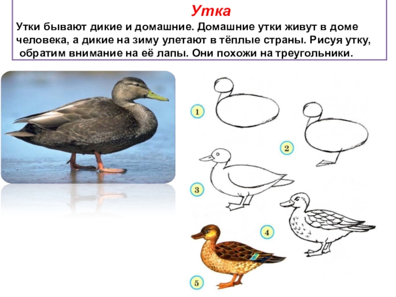 Смешные человечки урок изо 2 класс презентация