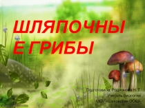 Презентация по биологии 5 класс по теме Шляпочные грибы