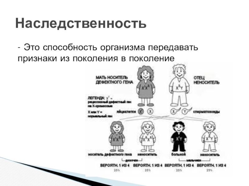 Передавать из поколения в поколение. Наследственность презентация. Наследственность поколений. Рисунок на тему наследственность. Способность организма передавать признаки из поколения в поколение.