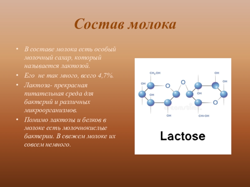 Реферат: Лактоза (молочный сахар)
