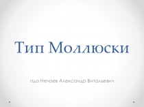 Презентация по теме МлекопитающиеМоллюски