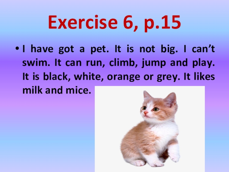 My pet 3 класс. Проекты на тему my Pet. Проект по английскому my Pet. Проект my Pet 5 класс.