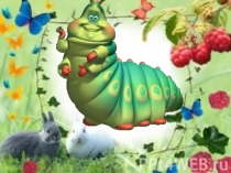 Презентация к уроку История гусеницыБ. Заходер