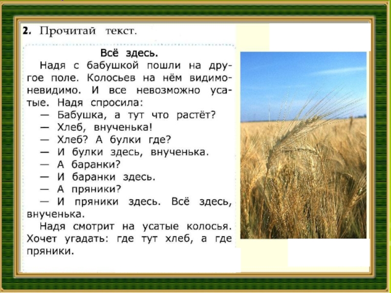 Прочитал здесь. Рассказ все здесь. Я Тайц все здесь иллюстрации. Рассказ я тайца все здесь. Чтение рассказа все здесь.