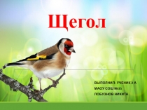 Презентация по окружающему миру на темуВесна в мире птиц и животных