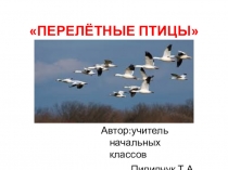 Презентация к уроку Окружающий мир Перелетные птицы весной