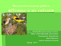 Презентация. Птицы и их гнёзда.