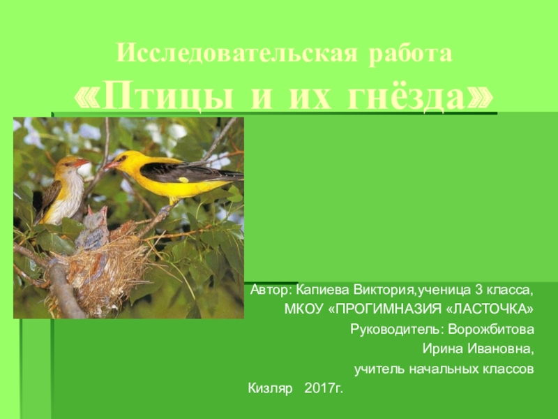 исследовательская работа птицы. исследования по изучению птиц. исследовательская работа птицы. актуальность изучения орнитофауны. цель изучения особенности птицы секретарь.