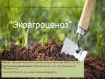 Презентация по биологии на тему Экоагроценоз (10 класс)