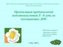 Презентация по организации предшкольного образования