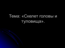 Презентация к уроку на тему: Скелет человека