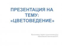 Цветовой круг