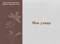 Презентация по окружающему миру 2 класс на тему: Улица, на которой ты живёшь