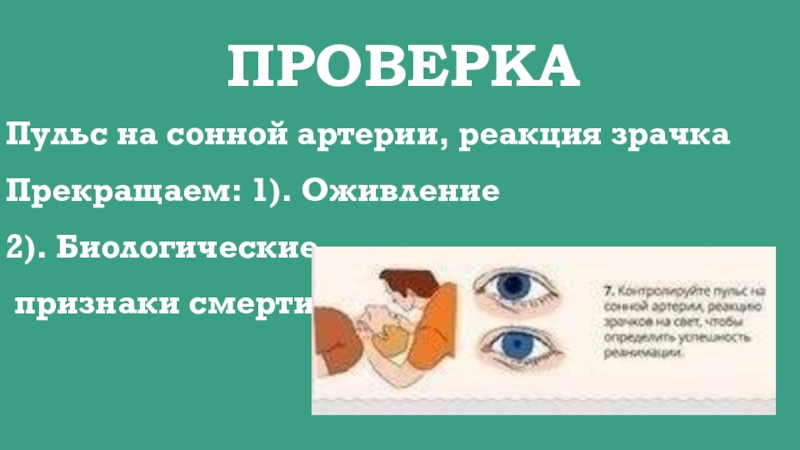 Реакция зрачков на свет у пострадавшего. Оценка реакции зрачков на свет. Зрачки и пульс проверить. Основные признаки жизни человека. Зрачки и пульс проверить.