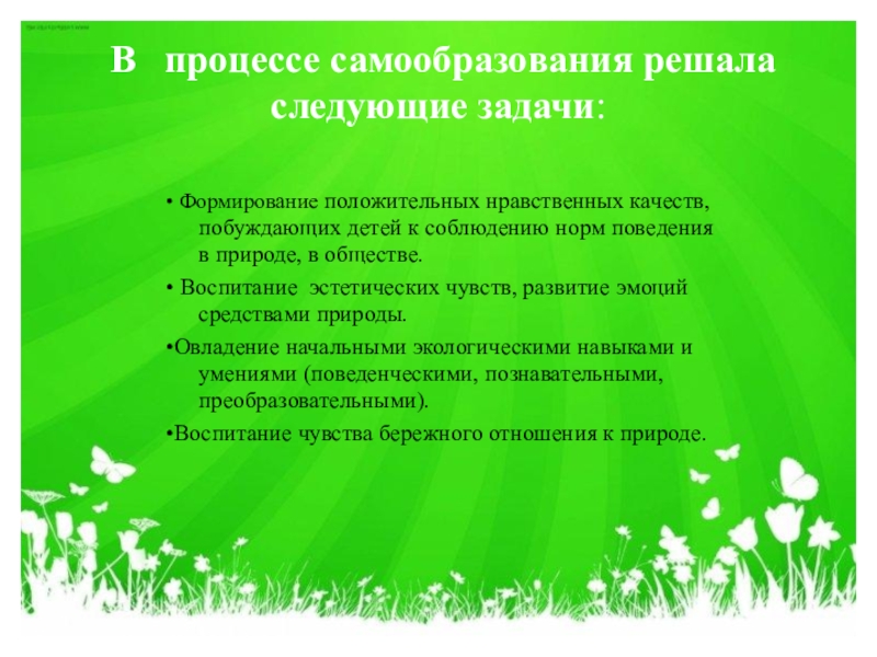 Нравственное самообразование. Тема по самообразованию по экологии. Развитие экологического воспитания через дидактические игры.