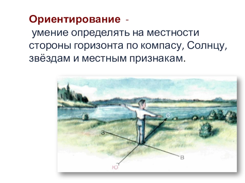 Что означает умение ориентироваться. Ориентирование по сторонам горизонта. Умение определять на местности. Умение определять на местности стороны горизонта. Горизонт ориентирование на местности.